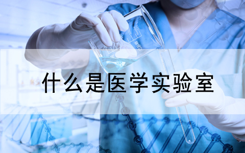 關注|CNAS發布《醫學實驗室質量和能力認可準則的應用要求》和《醫學實驗室..